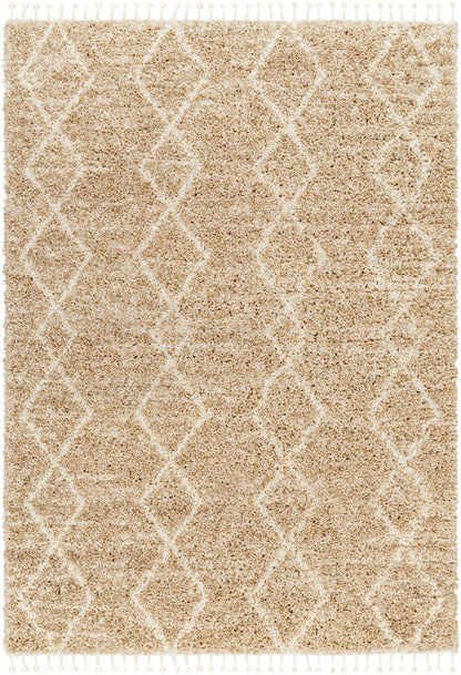 Ishan Area Rug - Clearance