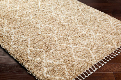 Ishan Area Rug - Clearance