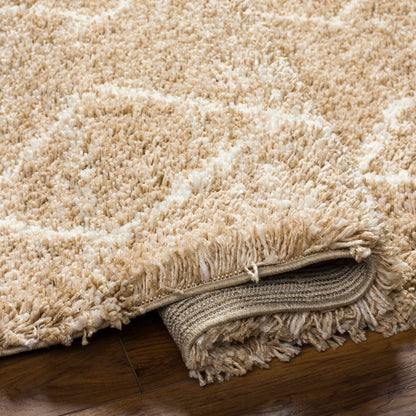 Ishan Area Rug - Clearance
