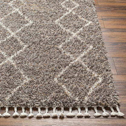 Ishan Taupe Area Rug - Clearance