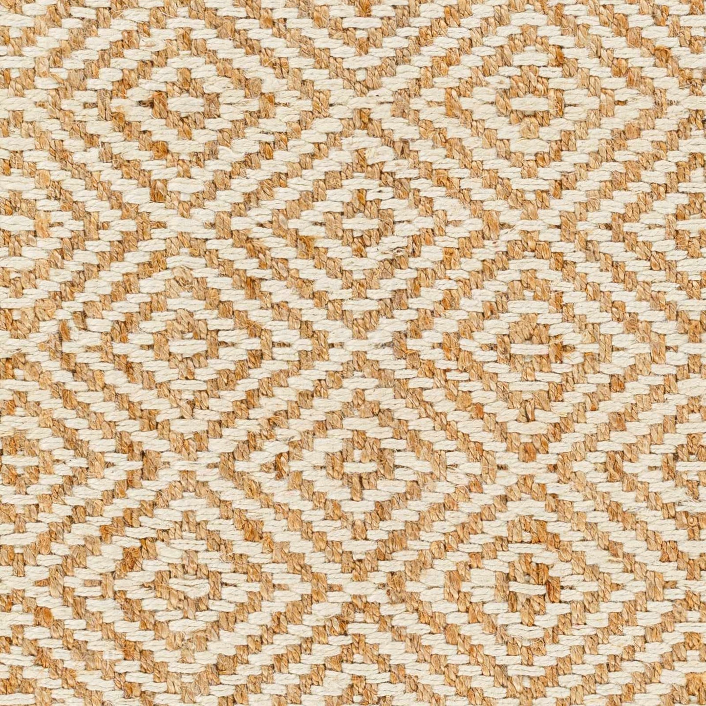 Eriko Area Rug - Clearance