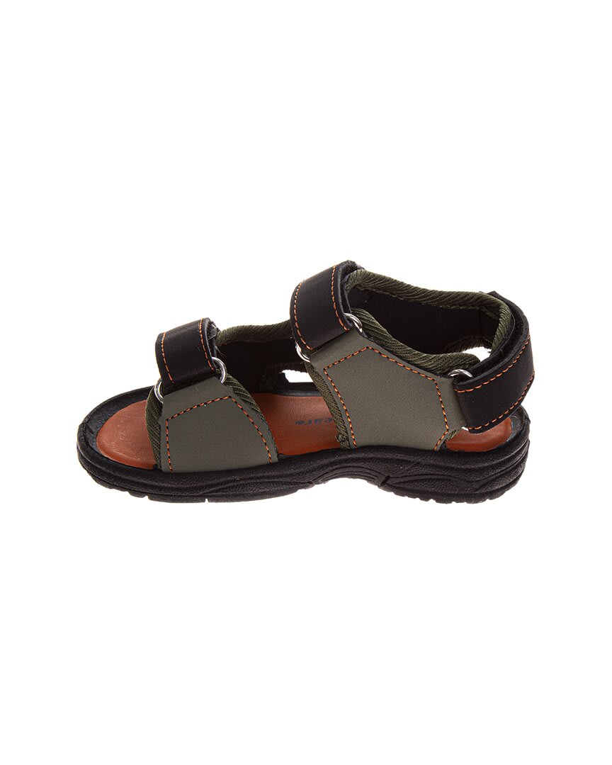 OLIVE BLACK-