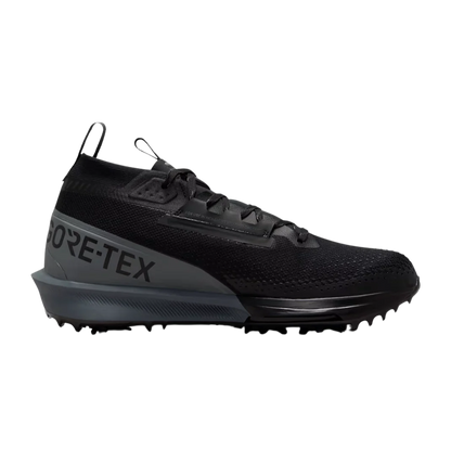 Nike Men's Infinity Tour 2 GORE-TEX Golf Shoes