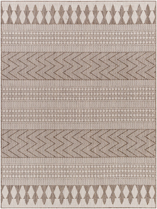 Asif Brown Outdoor Area Rug