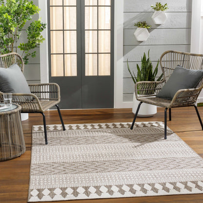 Asif Brown Outdoor Area Rug