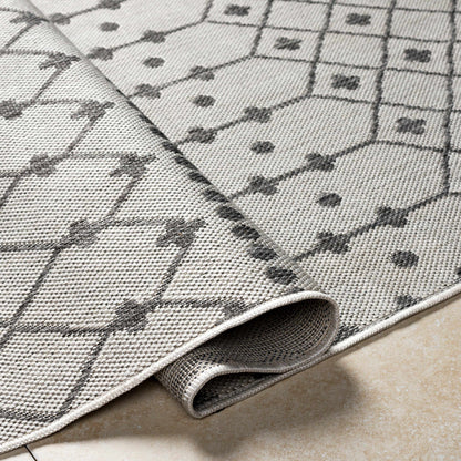 Lali Light Gray Outdoor Area Rug - Clearance