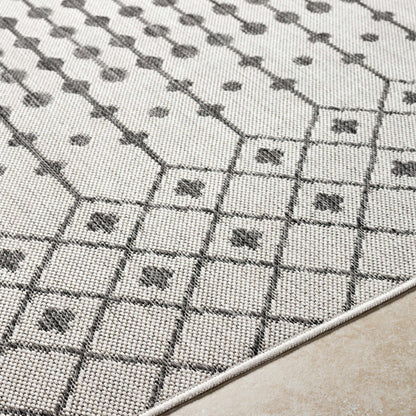 Lali Light Gray Outdoor Area Rug - Clearance