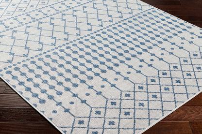 Lali Blue & Gray Outdoor Area Rug - Clearance