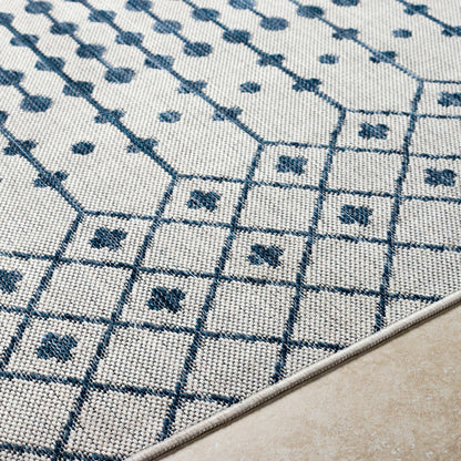Lali Blue & Gray Outdoor Area Rug - Clearance