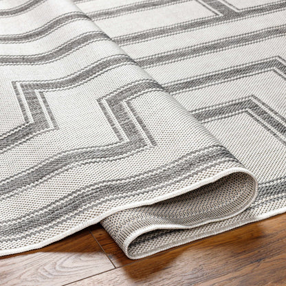 Taro Light Gray Outdoor Area Rug - Clearance