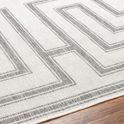 Taro Light Gray Outdoor Area Rug - Clearance