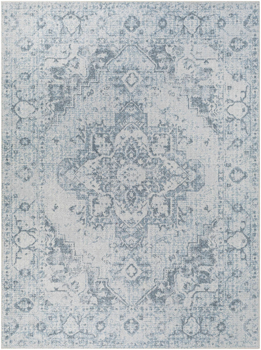Ankti Aqua Washable Area Rug - Clearance