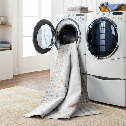 Remy Washable Area Rug - Clearance