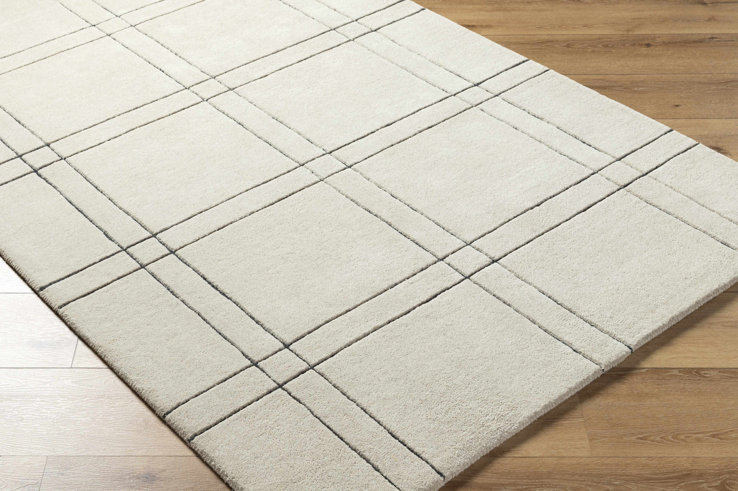 Sixto Beige Area Rug