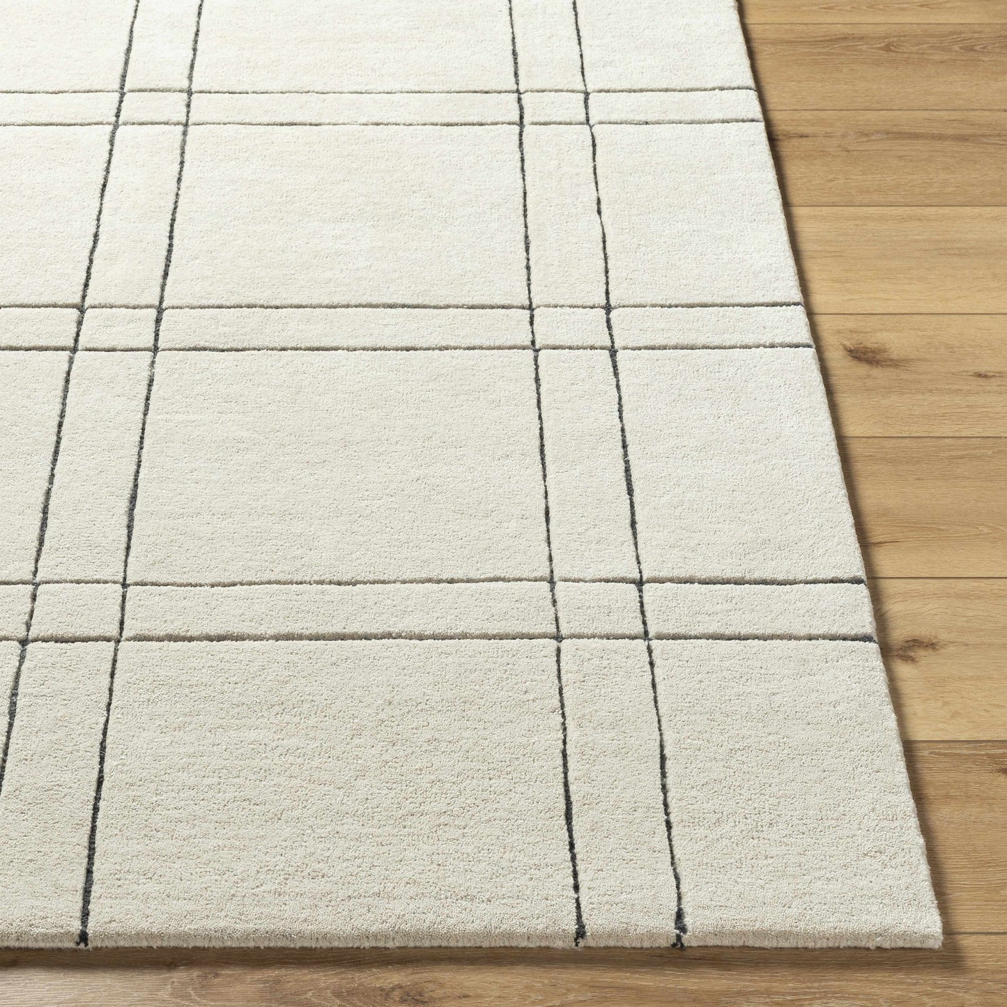 Sixto Beige Area Rug