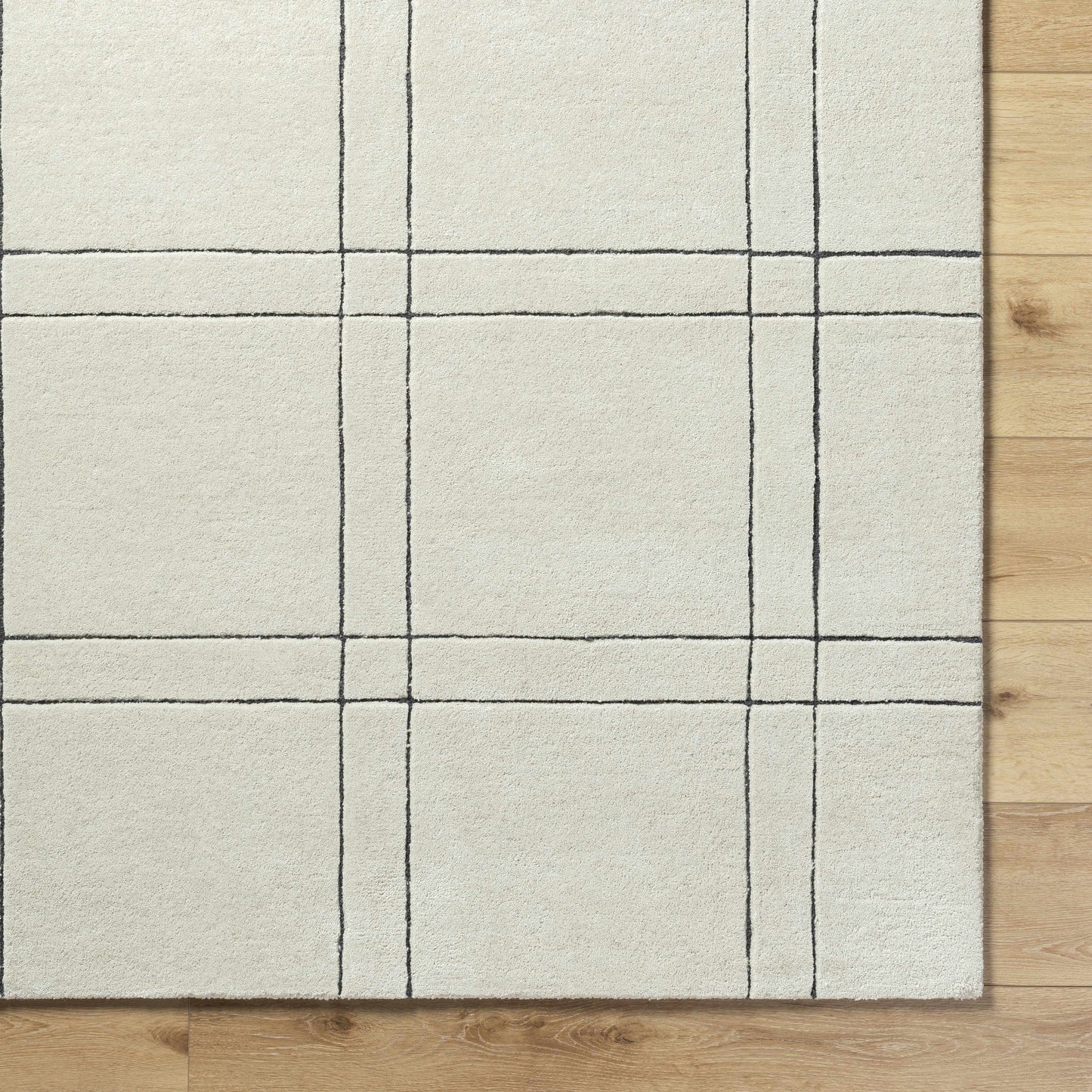 Sixto Beige Area Rug
