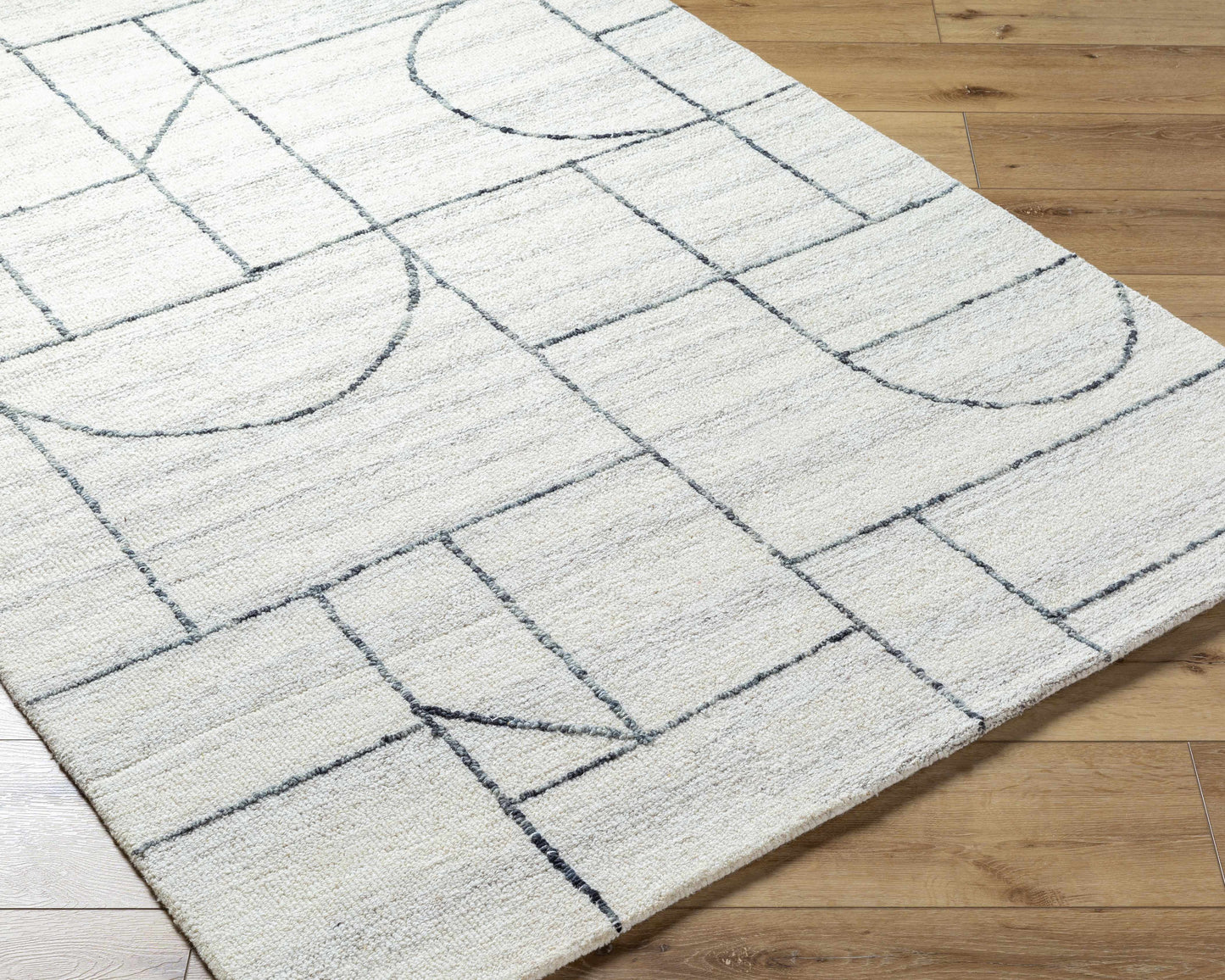 Sanaz Charcoal Area Rug