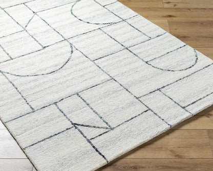 Sanaz Charcoal Area Rug