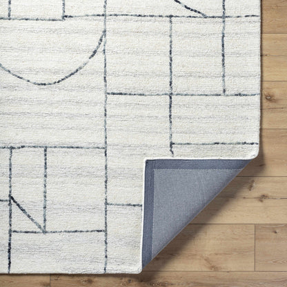 Sanaz Charcoal Area Rug