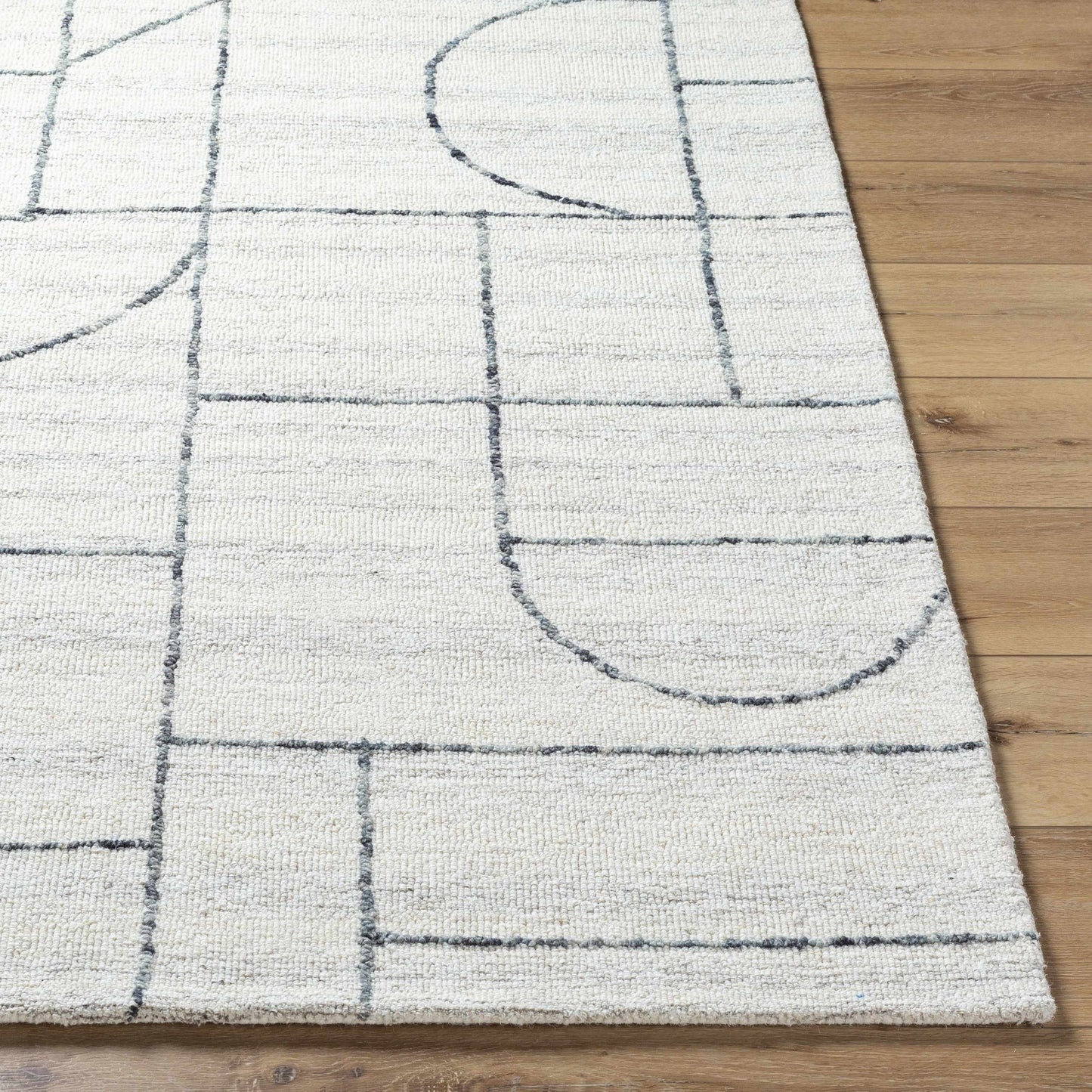Sanaz Charcoal Area Rug