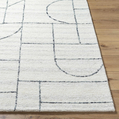Sanaz Charcoal Area Rug