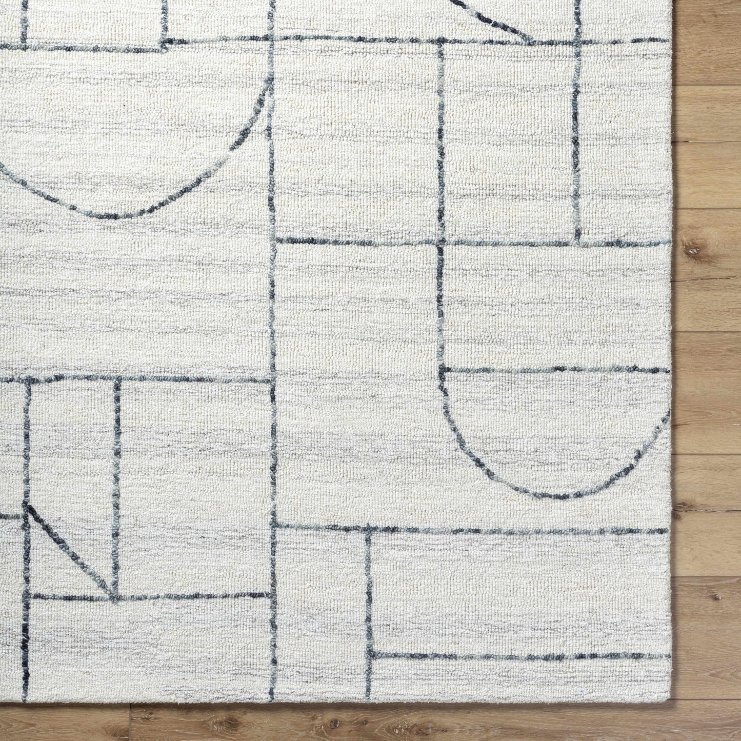 Sanaz Charcoal Area Rug