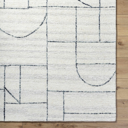 Sanaz Charcoal Area Rug