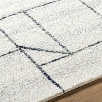 Sanaz Charcoal Area Rug