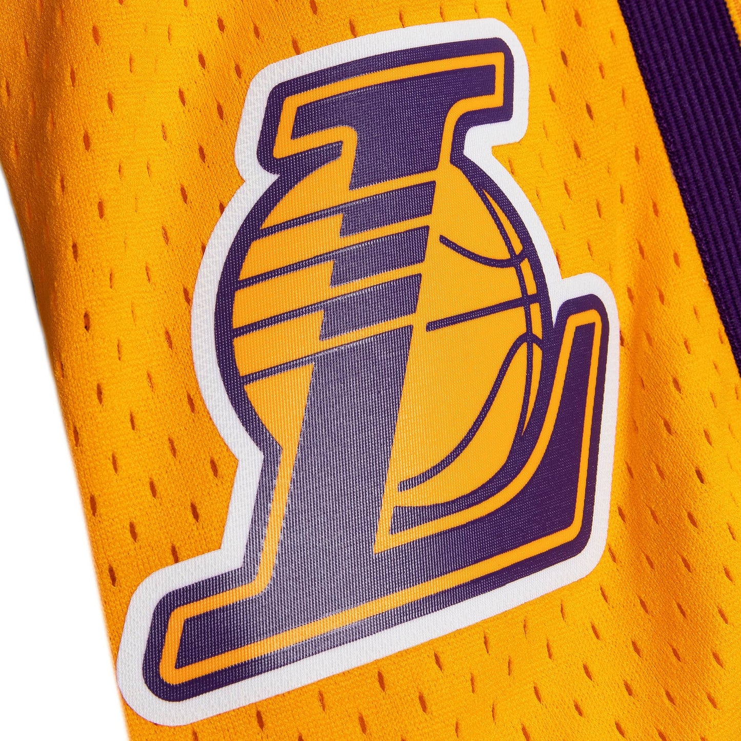 Los Angeles Lakers 2009-