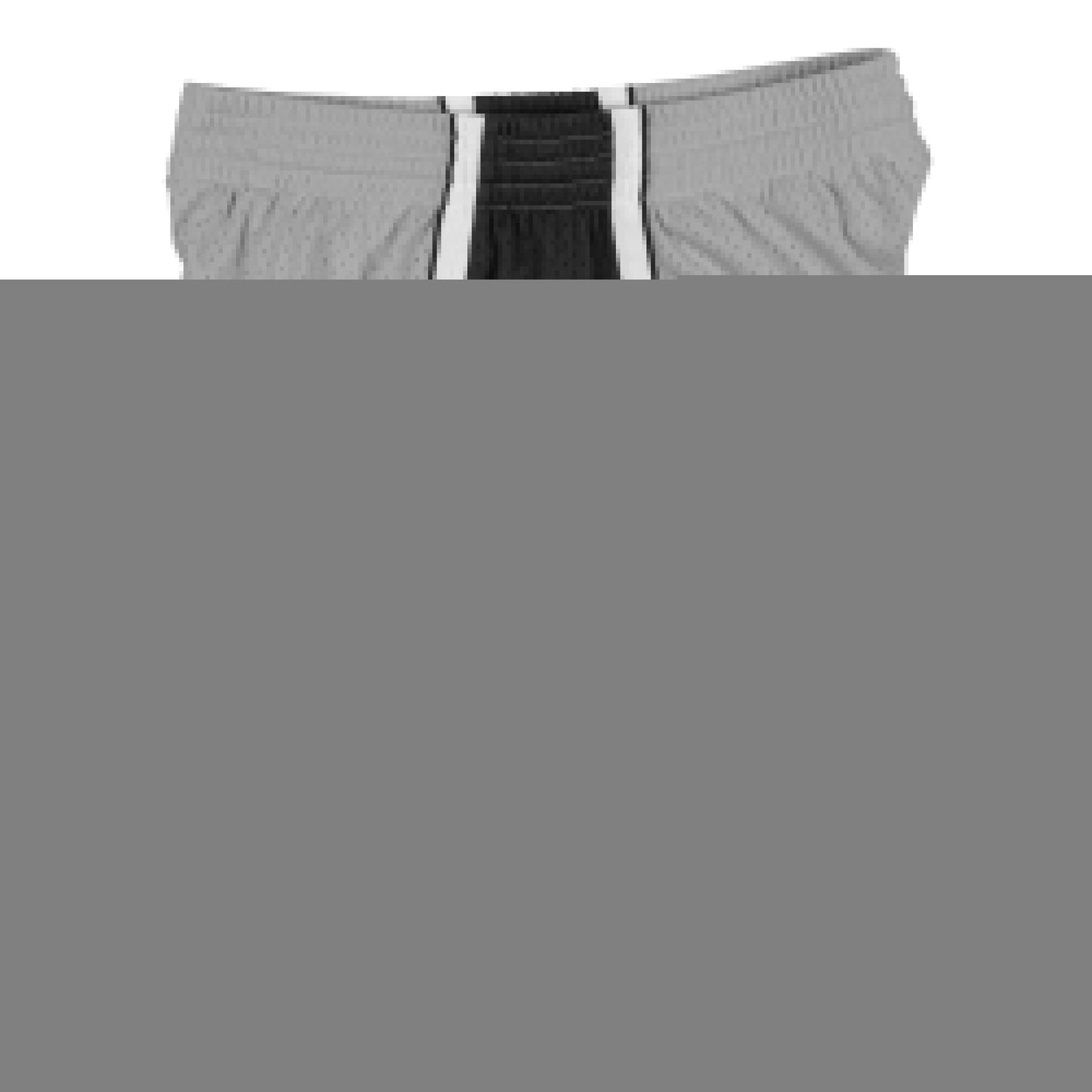 2009 Los Angeles Lakers-