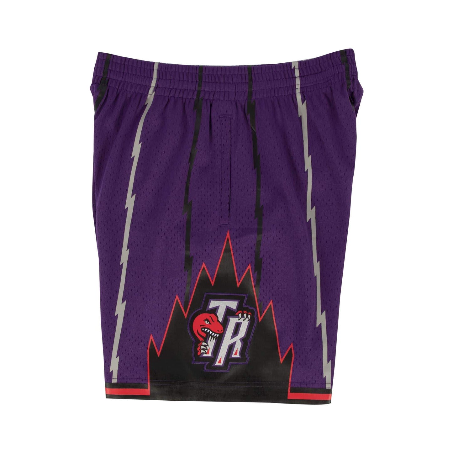 Men's Mitchell & Ness NBA Swingman Shorts 1998-99 Toronto Raptors