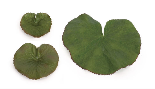 Melrose International Assorted Bag of Leaves Filler (Set of 12)
