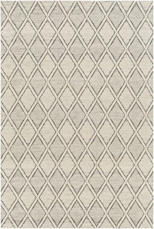 Aeron Area Rug - Clearance
