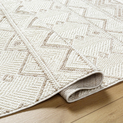 Armen Area Rug - Clearance