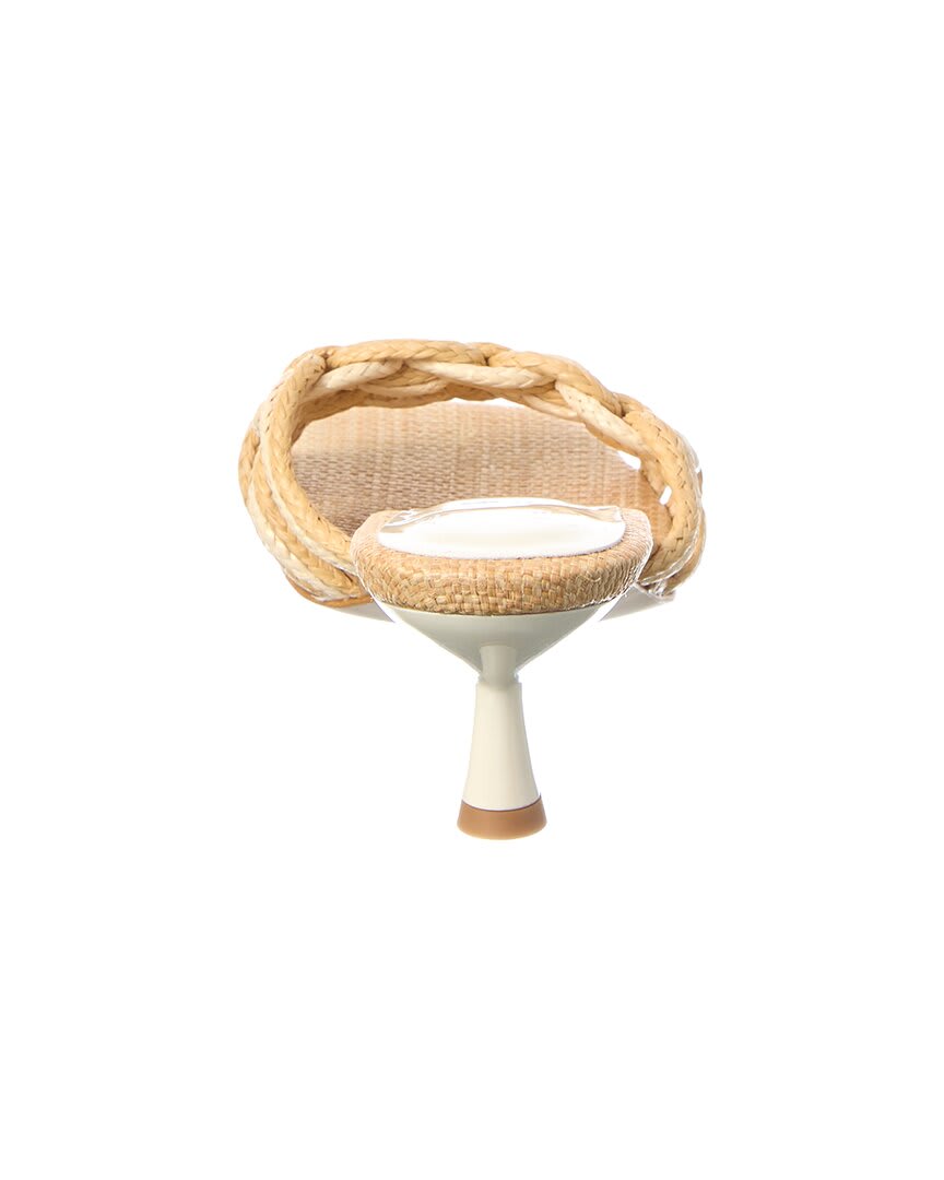 BNNT-BONE/NATURAL-