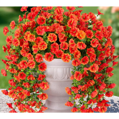 Orange-