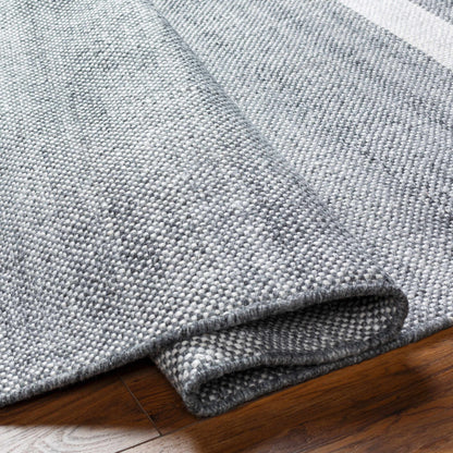 Loic Gray Area Rug
