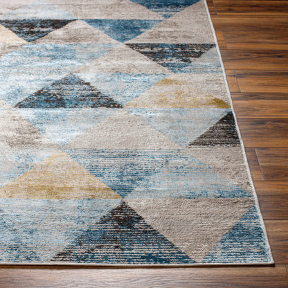 Hanif Area Rug - Clearance