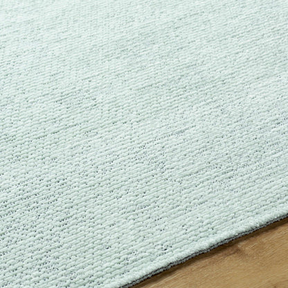 Isako Seafoam Solid Washable Area Rug