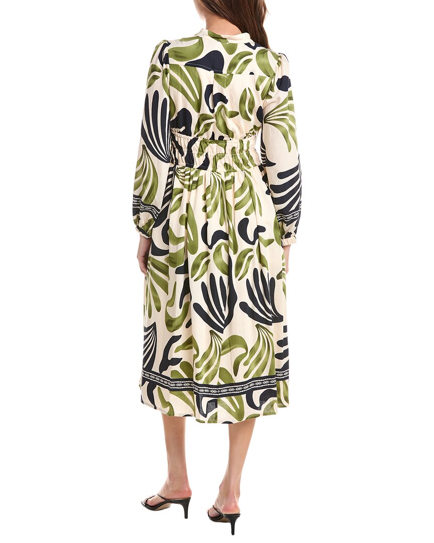 Olive-
