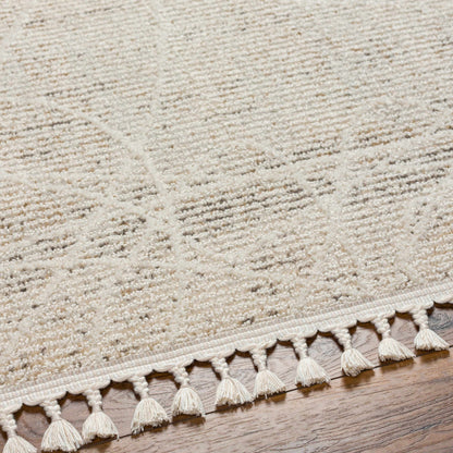 Huong Area Rug - Clearance