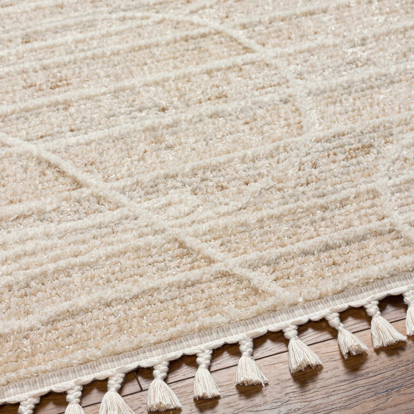 Inaya Area Rug
