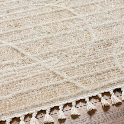 Inaya Area Rug