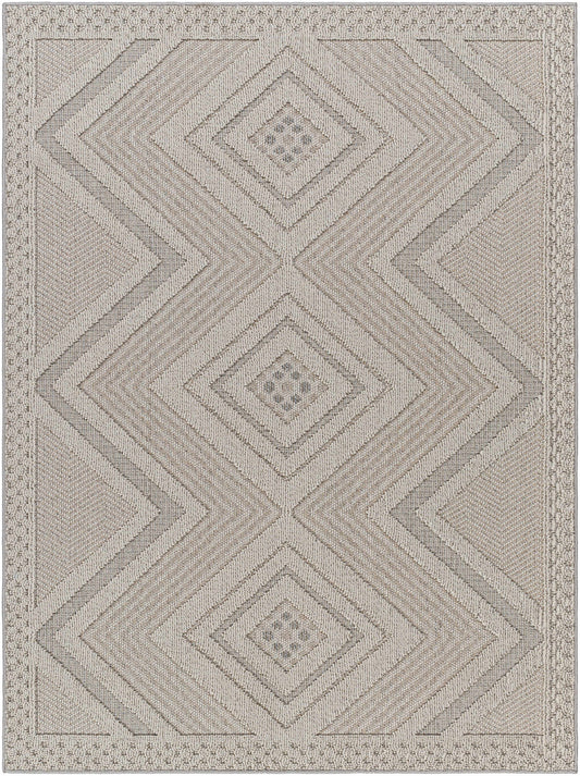 Aimee Natural Gray Outdoor Area Rug - Clearance
