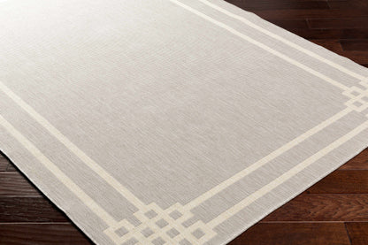 Ilori Light Gray Outdoor Area Rug - Clearance