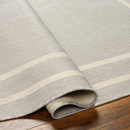 Ilori Light Gray Outdoor Area Rug - Clearance
