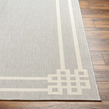 Ilori Light Gray Outdoor Area Rug - Clearance