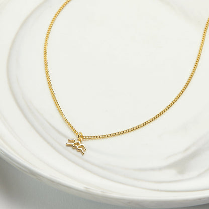 Starry Night Aquarius Zodiac Necklace