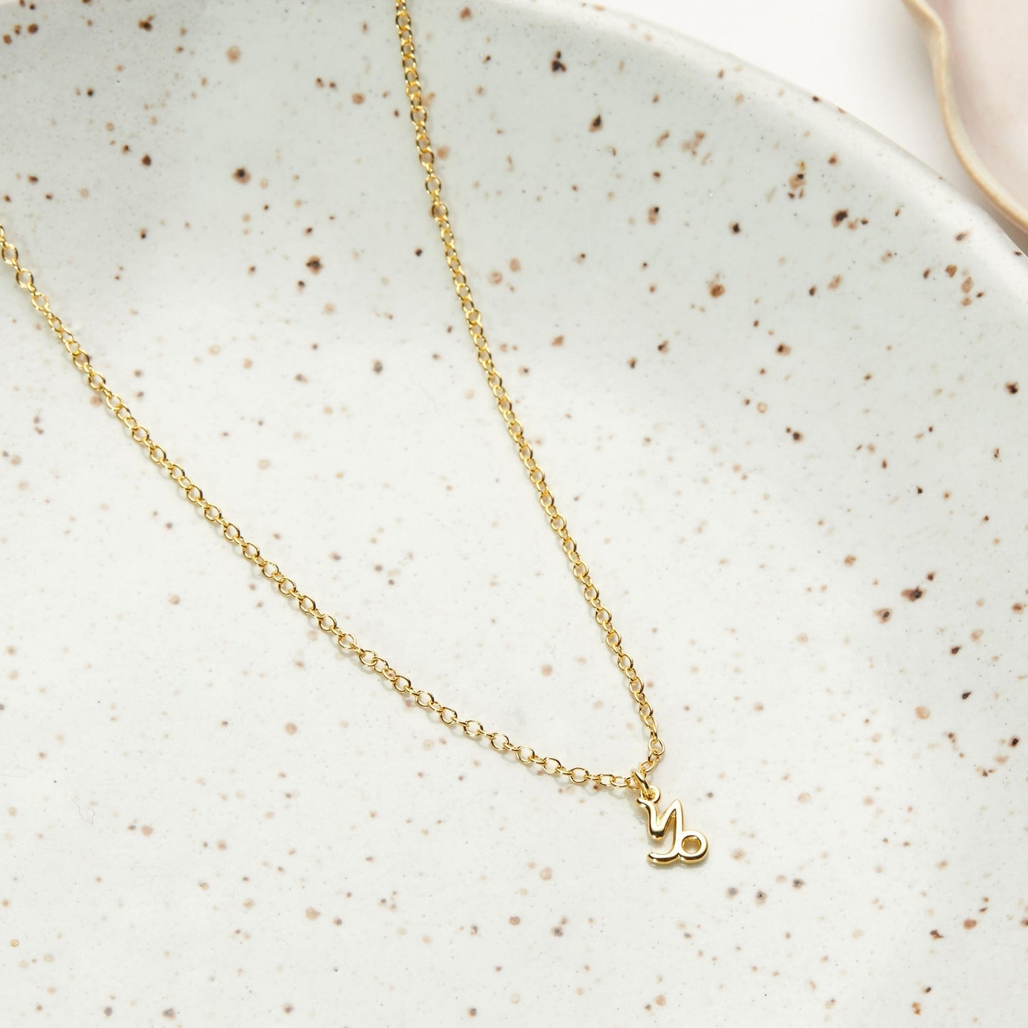 Starry Night Capricorn Zodiac Necklace