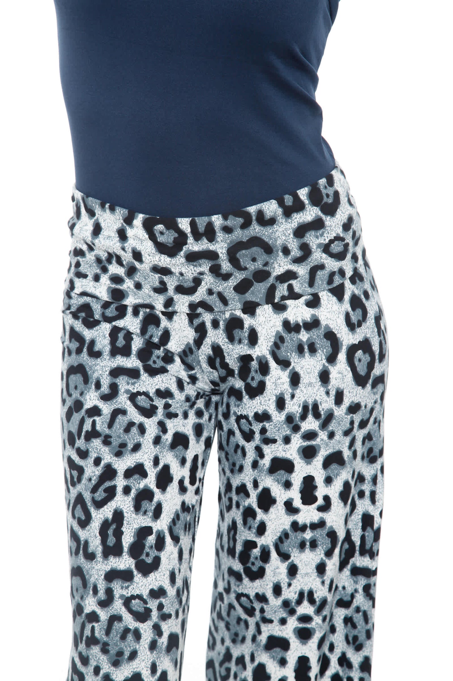 Gray Cheetah-